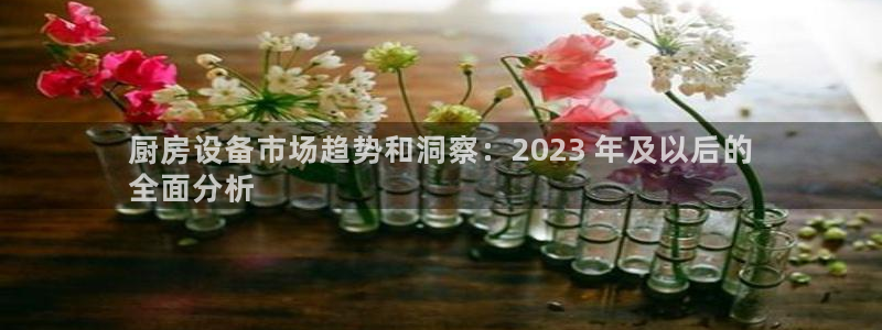 尊龙凯时人生就是搏!官网：厨房设备市场趋势和洞察：2023 