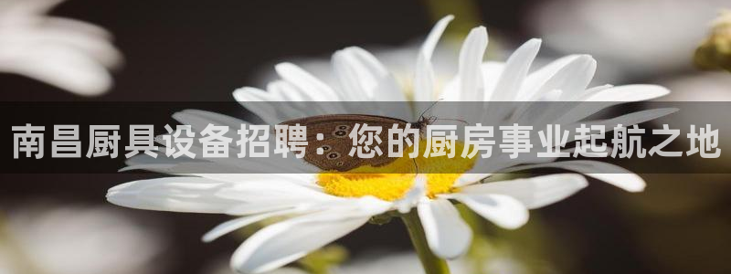 尊龙凯时网站不让提款