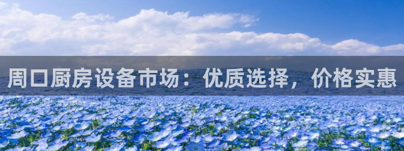 尊龙凯时网站首页手机登录：周口厨房设备市场：优质选择，价格实