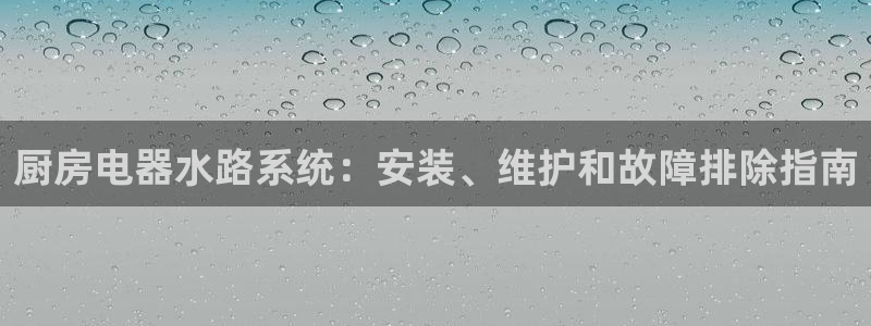 尊龙人生就是博客服：厨房电器水路系统：安装、维护和故障排除指