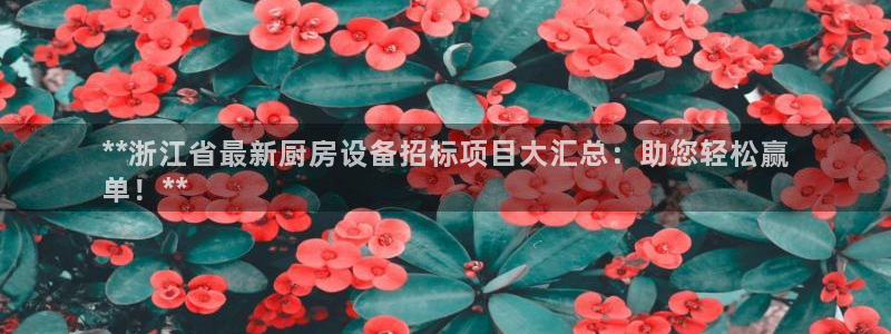 凯时官网下载客户端